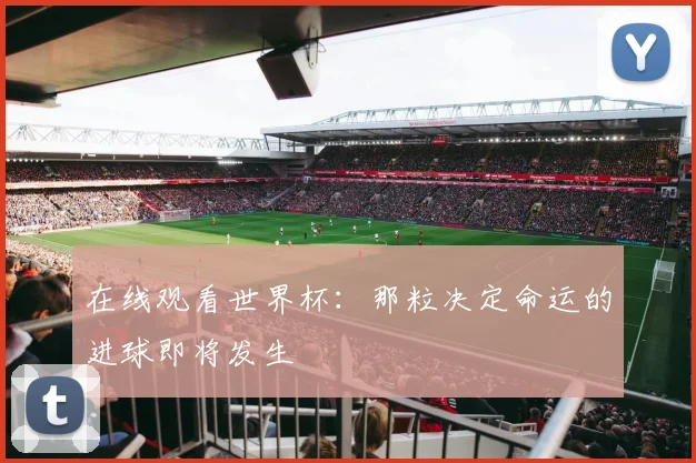 在线观看世界杯：那粒决定命运的进球即将发生