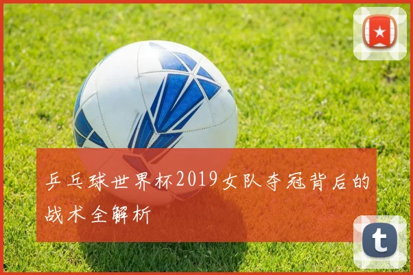 乒乓球世界杯2019女队夺冠背后的战术全解析