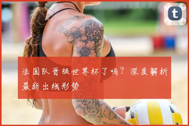法国队晋级世界杯了吗？深度解析最新出线形势