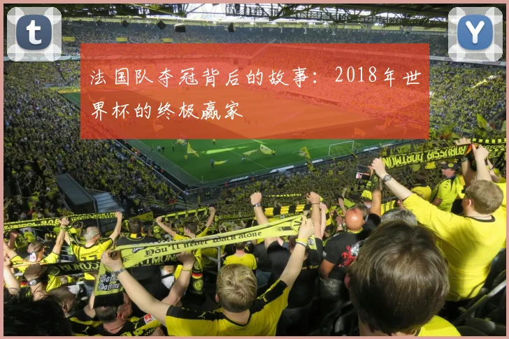 法国队夺冠背后的故事：2018年世界杯的终极赢家